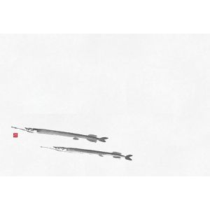 ヤマコー 用美 YAMACO ヤマコー 尺2 四季彩まっと 鮮魚 さより 細魚 100枚入 64971 用美