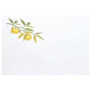 ヤマコー 用美 YAMACO ヤマコー 尺3 雲竜和紙 懐石まっと 枯淡 柚子 100枚入 65051 用美