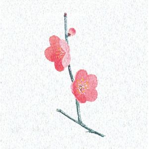 ヤマコー 用美 YAMACO ヤマコー 両面ラミ四季彩シート 梅 200枚入 66365 用美