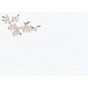 ヤマコー 用美 YAMACO ヤマコー 尺3 雲竜和紙 懐石まっと 花彩 はなさい 桜 100枚入 66429 用美