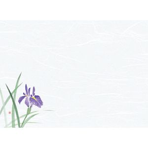 ヤマコー 用美 YAMACO ヤマコー 尺3 雲竜和紙 懐石まっと 花彩 はなさい 菖蒲 100枚入 66431 用美