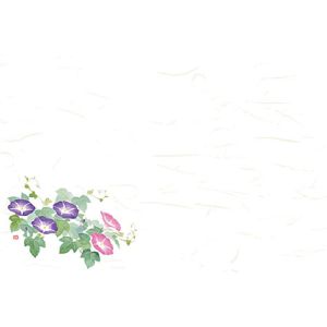 ヤマコー 用美 YAMACO ヤマコー 尺3 四季彩まっと 花便り 朝顔 100枚入 66629 用美