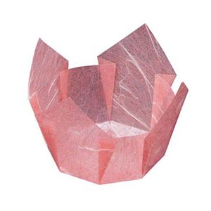 ヤマコー 用美 YAMACO ヤマコー 両面OP珍味入 紅梅雲竜 小B 200枚入 66647 用美