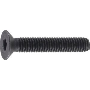 トラスコ TRUSCO トラスコ 六角穴付皿ボルト 黒染め 全ネジ M10×40 14本入 1PK B73-1040