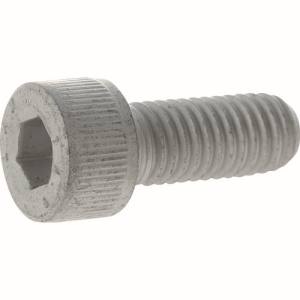 トラスコ TRUSCO トラスコ Y149D-1230 14.9超強度六角穴付ボルト スチ-ル デルタプロテクト 全ねじ M12X30 2本入 TRUSCO