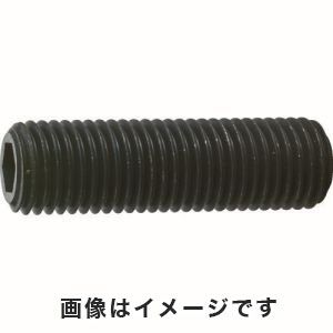 トラスコ中山 TRUSCO 六角穴付き止めネジ 平先 スチール M16×30 5本入 B63-1630