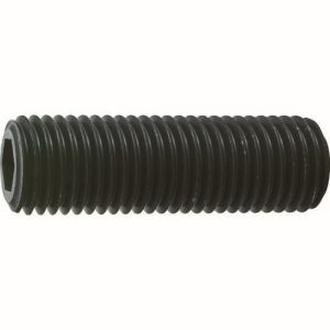 トラスコ中山 TRUSCO 六角穴付き止めネジ 平先 スチール M20×50 2本入 B63-2050