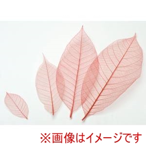 萬洋 MANYO 萬洋 18-787A カラースカシ木の葉 赤 約8cm 50入