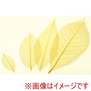 萬洋 MANYO 萬洋 18-788A カラースカシ木の葉 黄 約8cm 50入