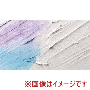 ターナー色彩 ターナー色彩 ターナー U-35 ペーパー ペースト 500ml 10378