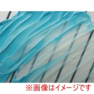 ターナー色彩 ターナー色彩 ターナー U-35 ソフト ジェル メディウム 250ml 10361