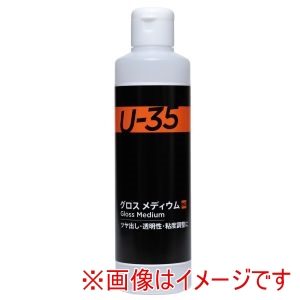 ターナー色彩 ターナー色彩 ターナー U-35 グロス メディウム 250ml 10365