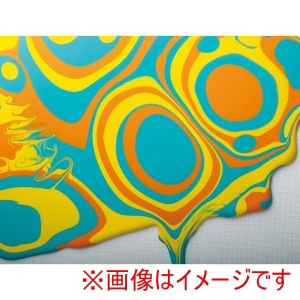 ターナー色彩 ターナー色彩 ターナー U-35 グロス ポーリング メディウム 1000ml 10374