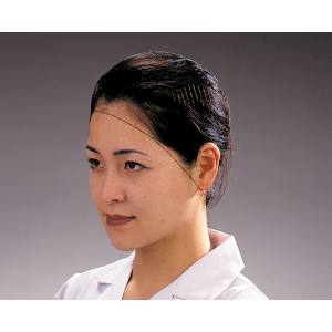 ダック DAG ダック ヘアーネット Sサイズ 100枚入 T20662 T22662 DAG