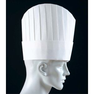 パル Pal パル  薄型 10枚入 PH-115