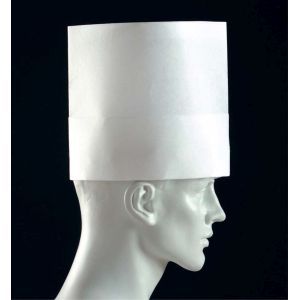 パル Pal パル  ノンプリーツ 10枚入 PH-121 21cm