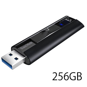 サンディスク SanDisk 並行輸入品2週間保証のみ サンディスク USBメモリ 256GB SDCZ880-256G-G46 USB3.1対応