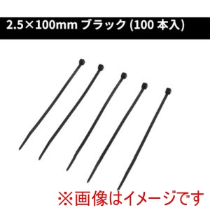 アストロプロダクツ アストロプロダクツ 結束バンド100mm 100本入り