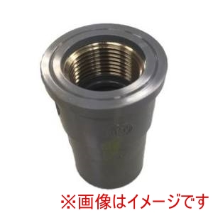 イシグロ イシグロ IVALUE IVL-TS*WS TSインサート 水栓ソケット 25 メーカー直送 代引不可 北海道沖縄離島不可
