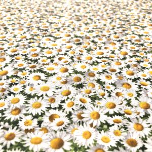Elizabeth’s Studio Elizabeth’s Studio USA1084 LANDSCAPE MEDLEY 100cm×110cm幅 USAコットン 直送 代引北海道沖縄離島不可