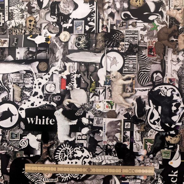 NORTHCOTT NORTHCOTT CAN012 COLOR COLLAGEII BLACK 50cm×110cm幅 カナダ輸入生地 メーカー直送 代引不可 北海道沖縄離島不可