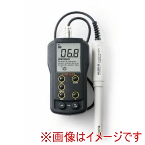 ハンナ ハンナ HI 9813-51 ポータブルPH EC計 メーカー直送 代引不可 北海道沖縄離島不可