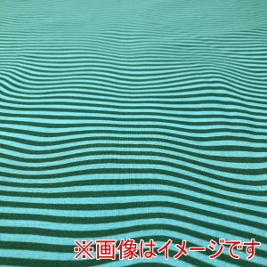 moda moda USA1253 RISE AND SHINE 50cm×110cm メーカー直送 代引不可 北海道沖縄離島不可