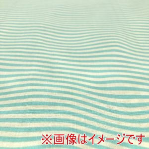 moda moda USA1254 RISE AND SHINE 50cm×110cm メーカー直送 代引不可 北海道沖縄離島不可
