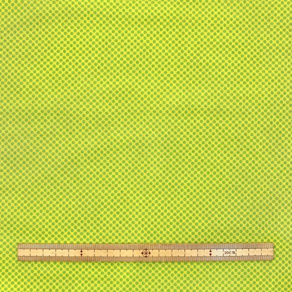  WINDHAM FABRICS WINDHAM FABRICS USA1255 BONNY 50cm×110cm メーカー直送 代引不可 北海道沖縄離島不可