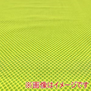 WINDHAM FABRICS WINDHAM FABRICS USA1255 BONNY 50cm×110cm メーカー直送 代引不可 北海道沖縄離島不可