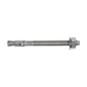 フィッシャー fischer フィッシャー 507572 ボルトアンカー FBN2 20/60 A4 10本入 