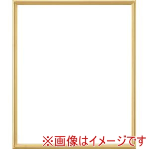 大額 大額 7517 デッサン額 大衣 ゴールド UVアクリル
