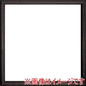 大額 大額 6700 水彩 デッサン額縁 300角 ブラック