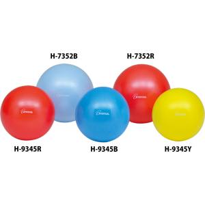 トーエイライト TOEI トーエイライト H7352R ピラティスボール250 H-7352