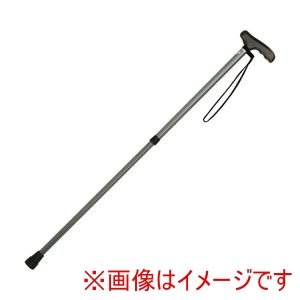 日進医療器 日進医療器 207376 TY125L プッシュボタン式アルミ伸縮杖 軽量タイプ