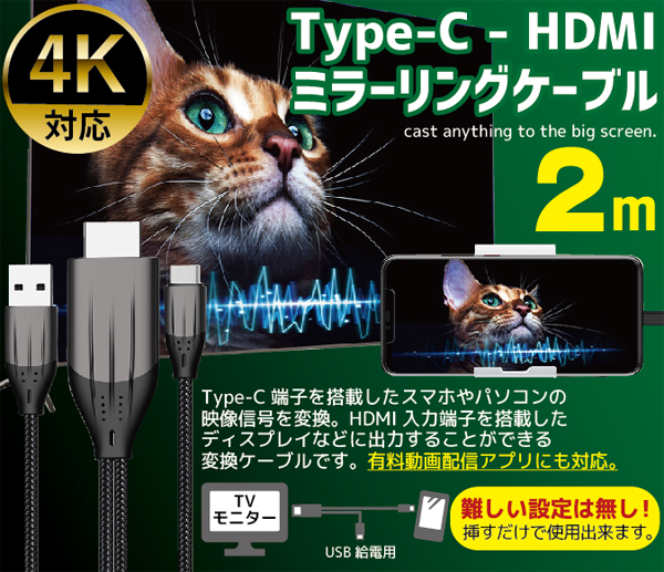  輸入特価アウトレット TypeC ミラーリングケーブル ブラック