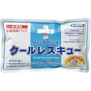 ダンノ DANNO ダンノ 熱中症対策 アイシング クイックフリーズ クールレスキュー 6個入り D391
