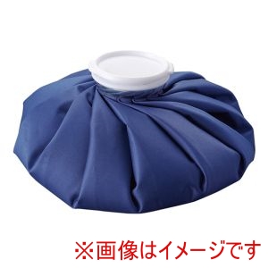 淡野製作所 DANNO 淡野製作所 D7727 アイスバッグ 氷のうL 