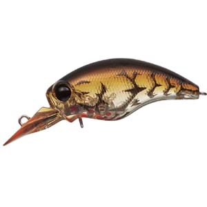 エバーグリーン EVERGREEN エバーグリーン ワイルドハンチSR 81 ブリーディングブラウンクロー