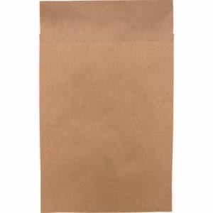 キングコーポレーション キングコーポレーション 190411 ポストイン定形外封筒 未晒100g/平方m 枠ナシ 100枚