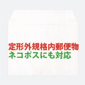 キングコーポレーション キングコーポレーション KBB008 ビジネスバッグ 小 100枚入 310×225