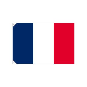 のぼり屋工房 のぼり屋工房 国旗 フランス 小 販促用 23674