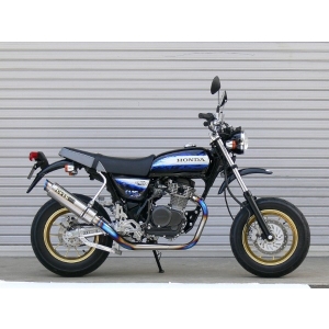 オーヴァーレーシング OVER RACING オーヴァーレーシング 13-111-26 GPパフォーマンス フルチタンマフラー T2 APE100D 08-