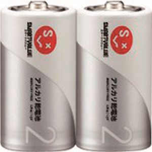 ジョインテックス ジョインテックス N122J-2P-5 366067アルカリ乾電池単2×10本 