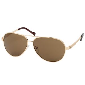 キャプテンスタッグ CAPTAIN STAG キャプテンスタッグ サングラス CS-003-2