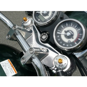 アグラス AGRAS アグラス 321-489-001 トップブリッジ アッパーブラケット無 W800 AGRAS