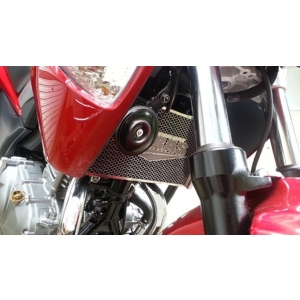 アグラス AGRAS アグラス 309-301-B00 コアガード Bタイプ ロゴ無 GSR250 AGRAS