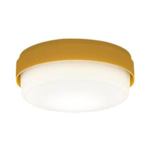 パナソニック Panasonic パナソニック LGB51562LE1 LEDシーリングライト100形電球色 Panasonic