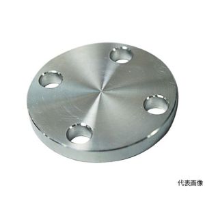 フローバル FLOBAL フローバル SUS-10K-BL-FF-20A SUS304 10K 閉止フランジ 14100571
