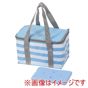 パール金属 Pearl パール金属 SOTOLINK 行楽 保冷バッグ 5L 保冷剤付き DC-6084